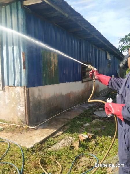 LOW COST PEST CONTROL SERVICE FOR YOUR OFFICE, HOME - image 5