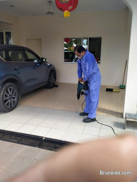 LOW COST PEST CONTROL SERVICE FOR YOUR OFFICE, HOME - image 6