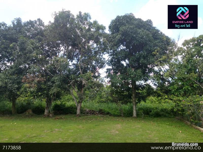 (SOLD) BENGKURONG, BRUNEI - BETHANY LAND - image 3