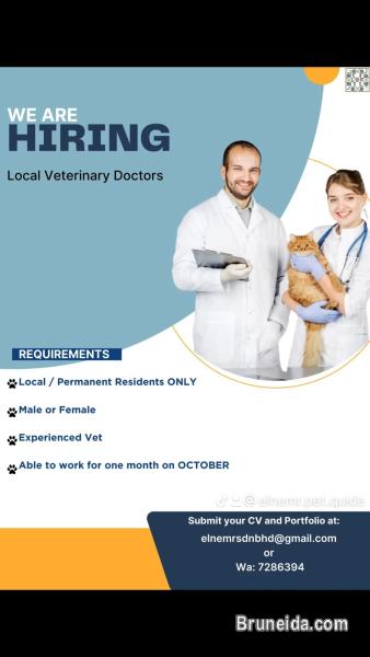 Hiring vet - image 1