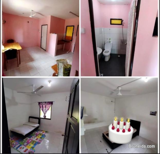 Mini house - image 2