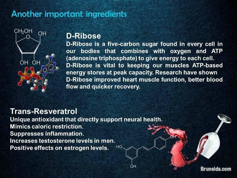 SO Plus - Your one nutraceutical drink for better health. - image 2