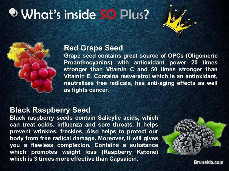 SO Plus - Your one nutraceutical drink for better health. - image 3