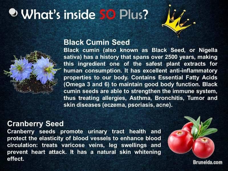 SO Plus - Your one nutraceutical drink for better health. - image 4