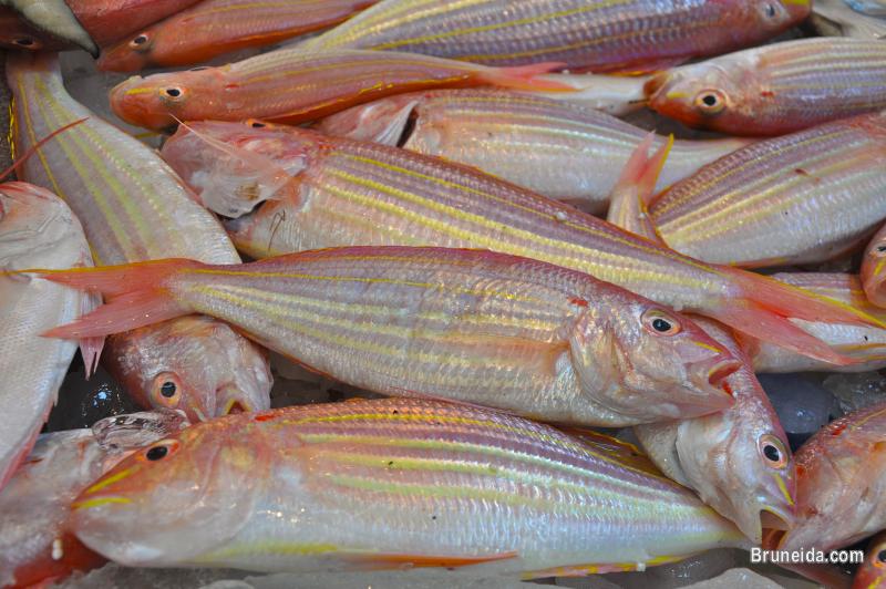 Fruits and vegetables - image 10