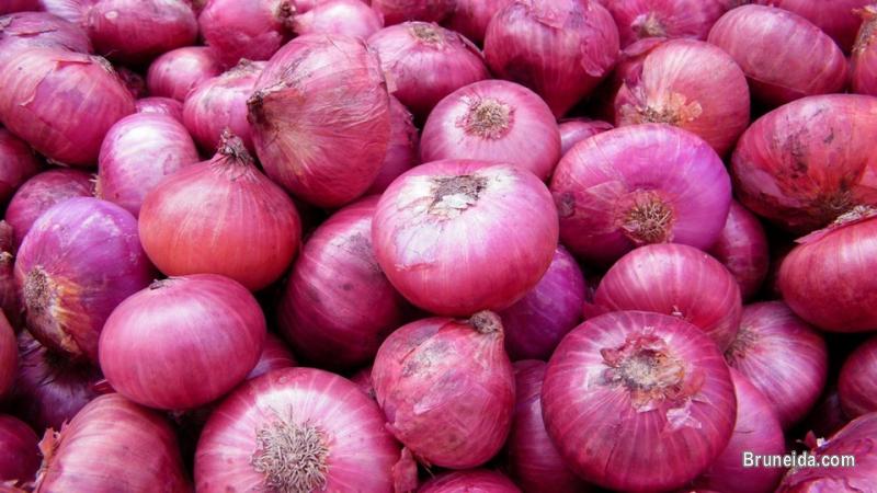 Fruits and vegetables - image 12