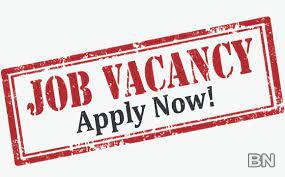 Vacancy for Sales Executive and Interior Designer - image 1