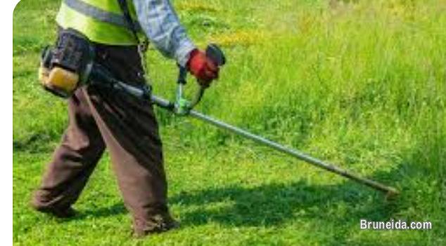 GRASS CUTTING & CLEANING SERVICE - image 1