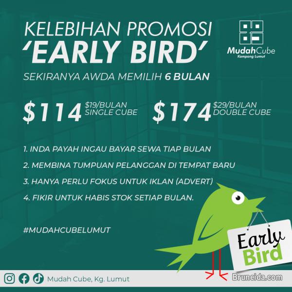 Cube For Rent - image 3