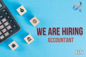 Accountant - image 1