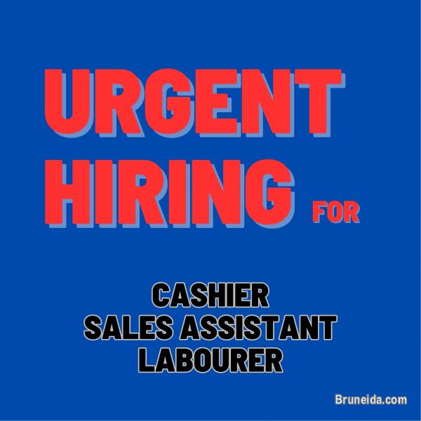 Looking for local people (Bruneian) - image 1