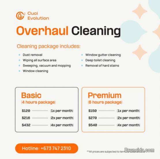 Cuci Evolution - image 2