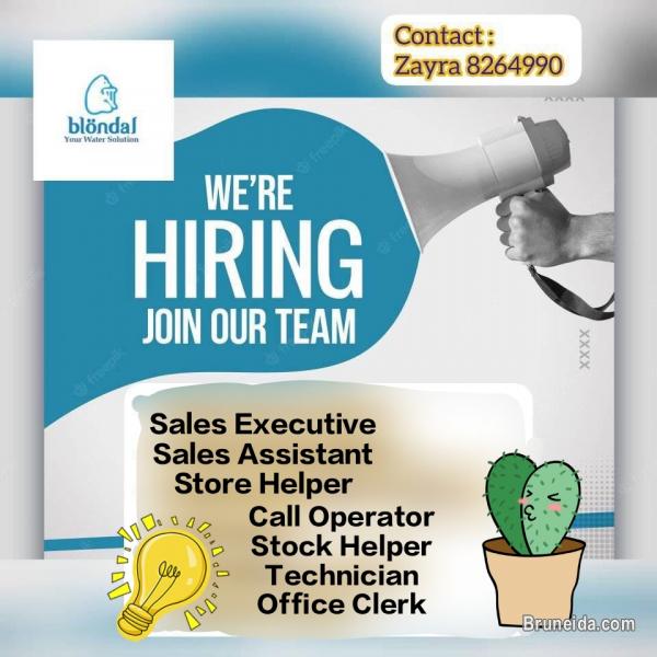 Now we're hiring! Local & PR only - image 1