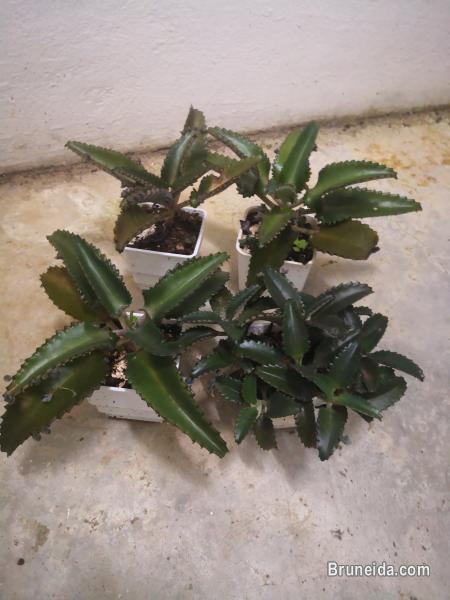 Let go stuffs - image 11