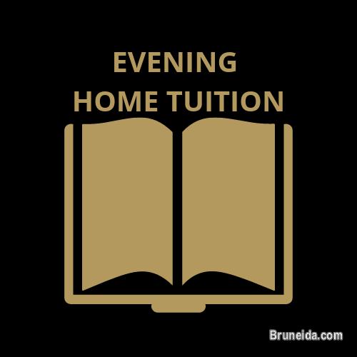 Video editor and social media promoter - image 1