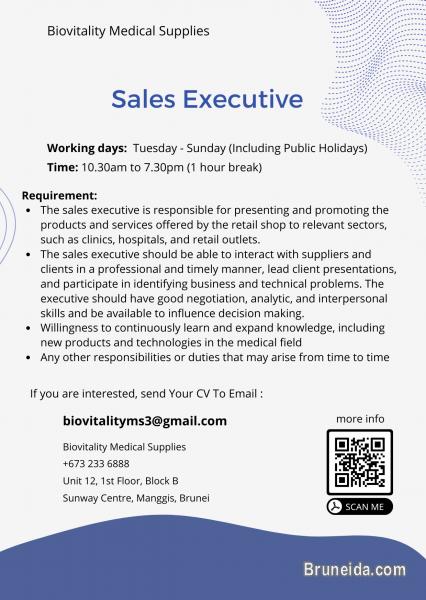 SALES EXECUTIVE - image 1