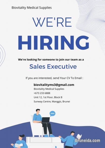 SALES EXECUTIVE - image 2