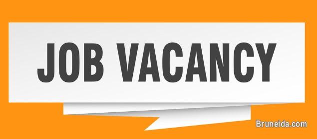 Admin/Account Officer - image 1