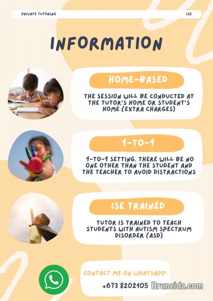 Private Tutor (ASD Students) - image 2