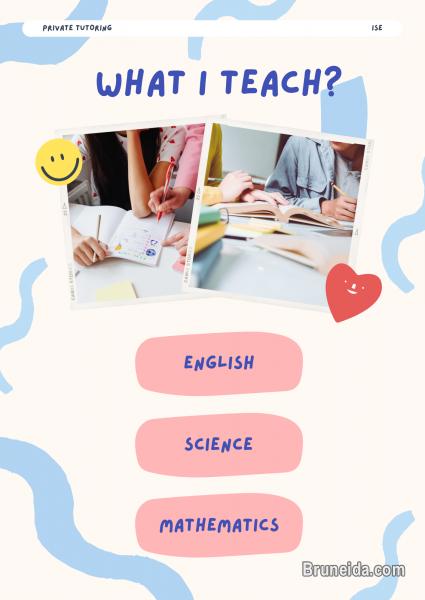 Private Tutor (ASD Students) - image 3