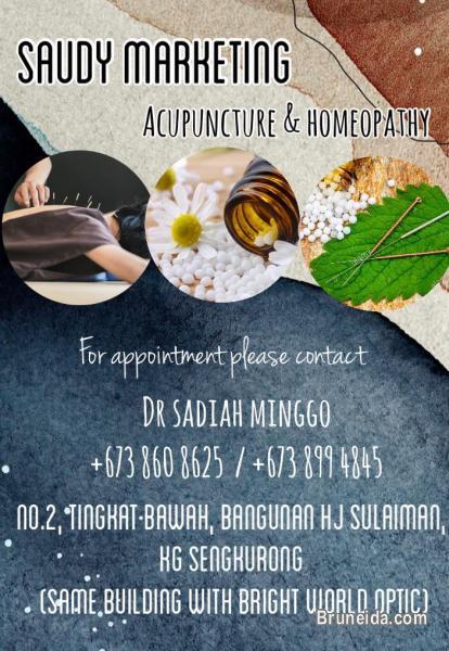 ACCUPUNCTURE AND HOMEOPATHY SENGKURONG  8608625 - image 1