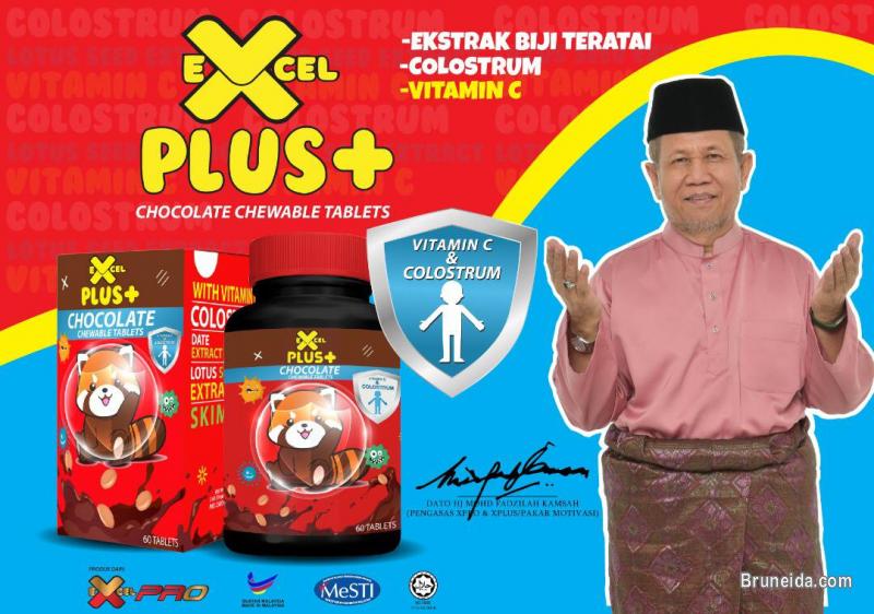 Picture of Excel Plus Dato Fadzilah Khamsah