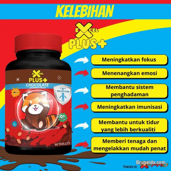 Excel Plus Dato Fadzilah Khamsah - image 2