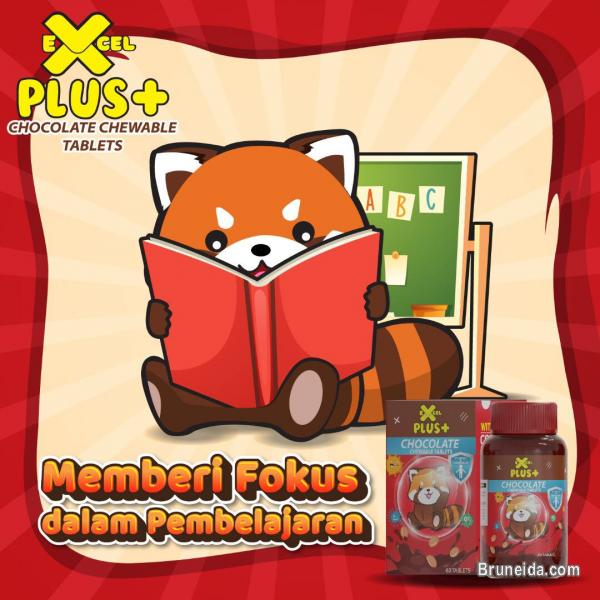 Excel Plus Dato Fadzilah Khamsah - image 3