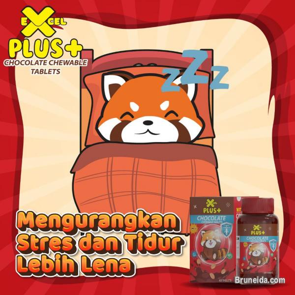 Excel Plus Dato Fadzilah Khamsah - image 4