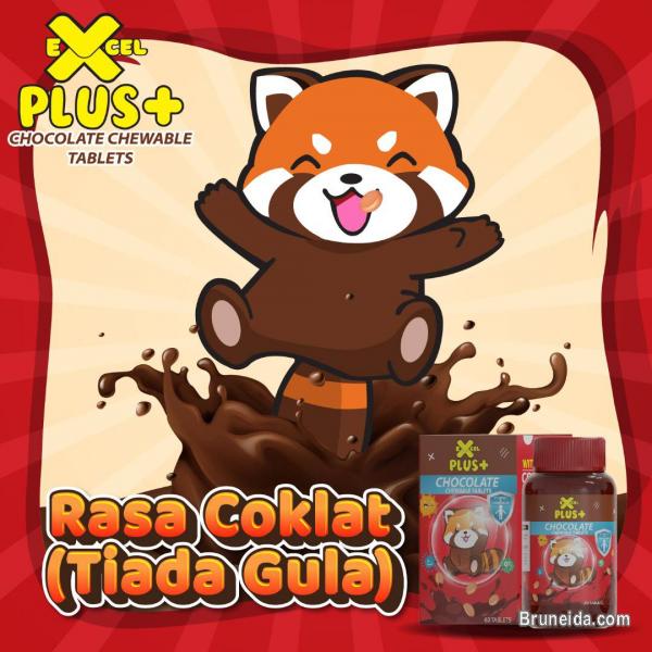 Excel Plus Dato Fadzilah Khamsah - image 5