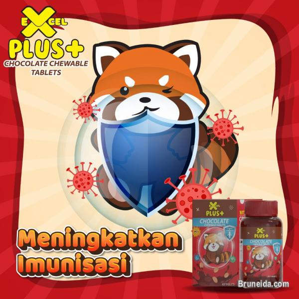 Excel Plus Dato Fadzilah Khamsah - image 6