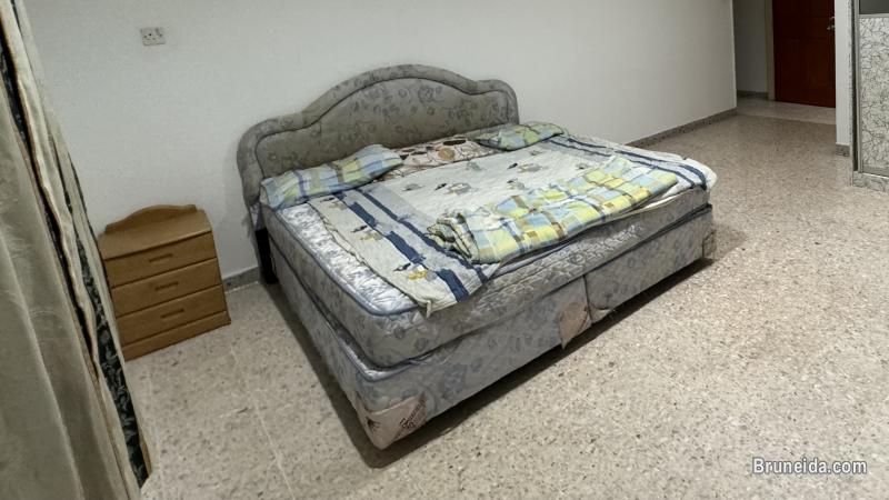 Queen Size Bed & Carpet - image 1