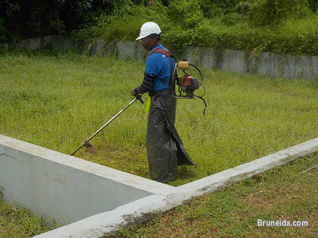 Extension & Renovation of House - 7132143 - image 3