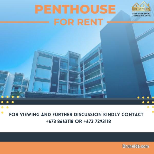 Penthouse house for rent at Kg Menglait - image 1