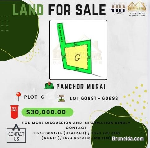 Land For Sale - image 1