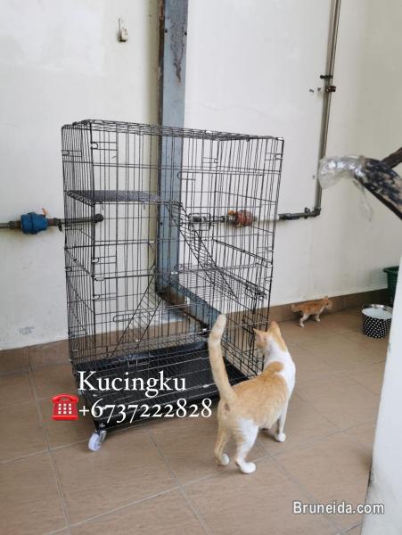2 Tier Cat Cage/2 tingkat sangkar kandang - image 2