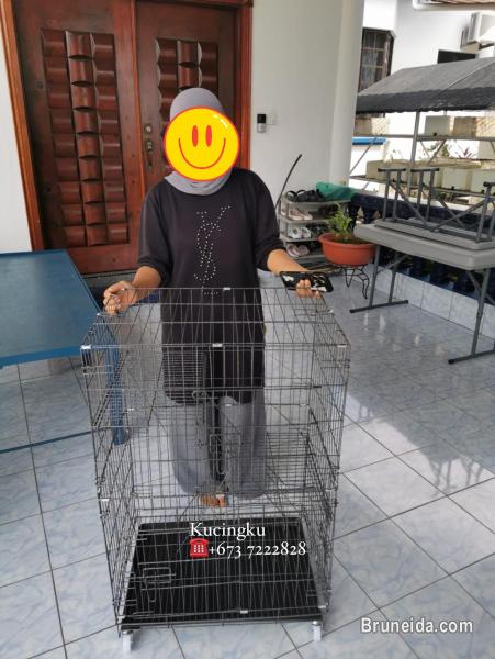 2 Tier Cat Cage/2 tingkat sangkar kandang - image 3