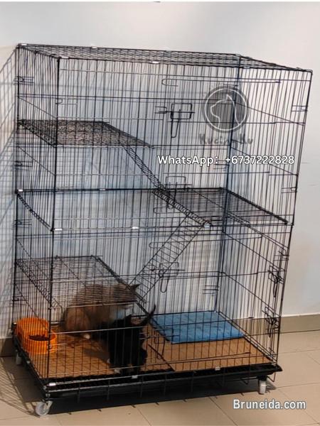 3 Tier Cat Cage/3 tingkat sangkar kandang - image 2
