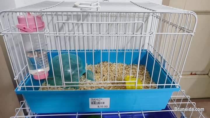Hedgehog - image 3