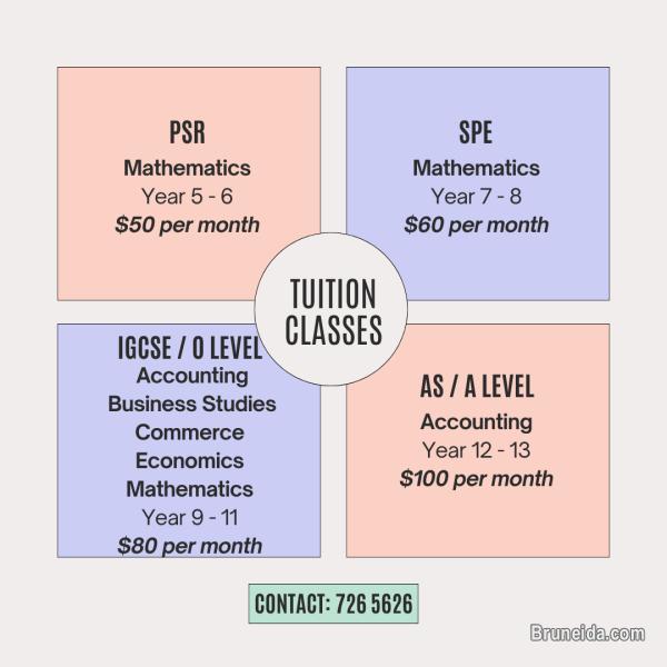 Tuition Classes 2024 - image 1
