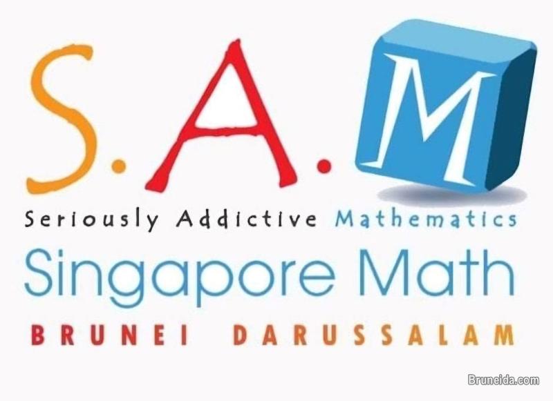 Looking for Math Tutor (full or part time) - image 1