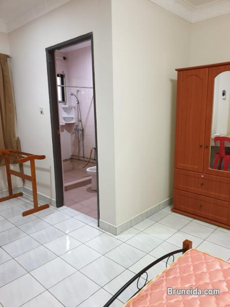 2 common rooms for rent - image 1