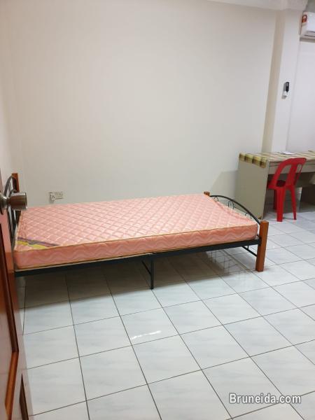 2 common rooms for rent - image 2
