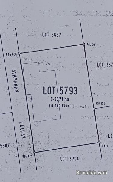 TANAH KEKAL UNTUK DIJUAL - image 1