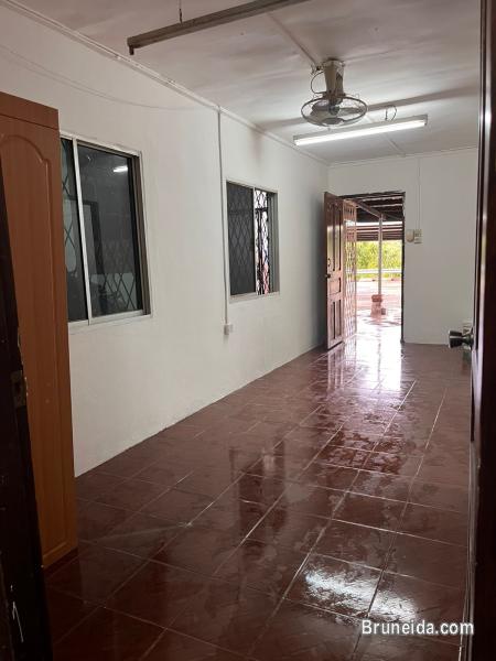 Mini House for Rent 8999138 - image 2