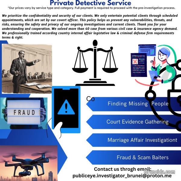 Private Investigator Service - image 1