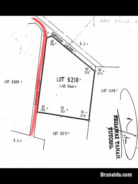 Land for Sale (1. 65 acres) - image 1