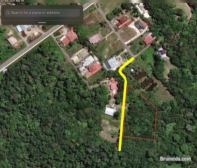 Land for Sale (1. 65 acres) - image 2