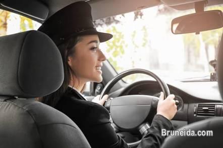 Pictures of Freelance female driver