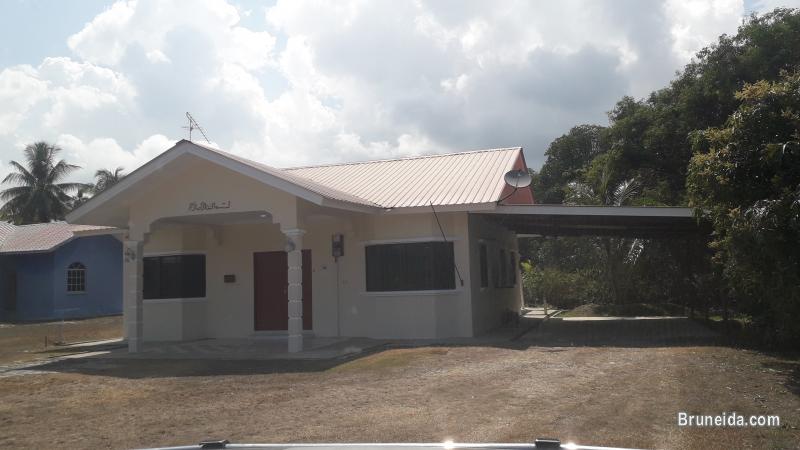 House For Rent at Kampung Danaun - image 2